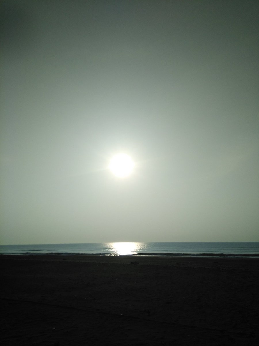 MArandoro's tweet photo. 静岡遠征二日目！
おはようございます！朝砂浜で運動しました！埼玉県民だから海見ると興奮する！ https://t.co/8stDp2f0UK