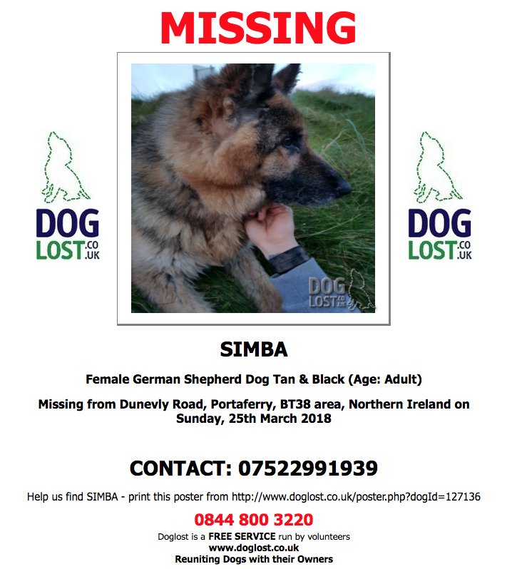DogLostUK's tweet photo. https://t.co/jt1sXwNKjV 
#LOST  SIMBA
Female #GermanShepherd Dog #Portaferry #BT38 #NorthernIreland  
Sunday, 25th March 2018  #LostDog #ScanMe  https://t.co/vhgWeXc8Wq @VetsGetScanning @SAMPAuk_ https://t.co/0LhgrdoSzh