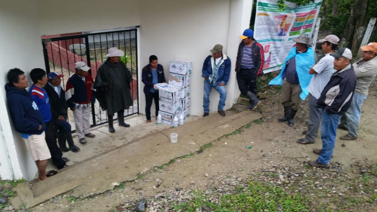 cesaveh's tweet photo. Para impactar las poblaciones del Psílido asiático, vector del HLB de los cítricos. Personal del #CESAVEH en coordinación con productores, está llevando a cabo el control regional en base a Hongos entomopatógenos y Aceite mineral en 4,296 ha de naranja... https://t.co/Xhzynh7SE1 https://t.co/74unUBuOPR