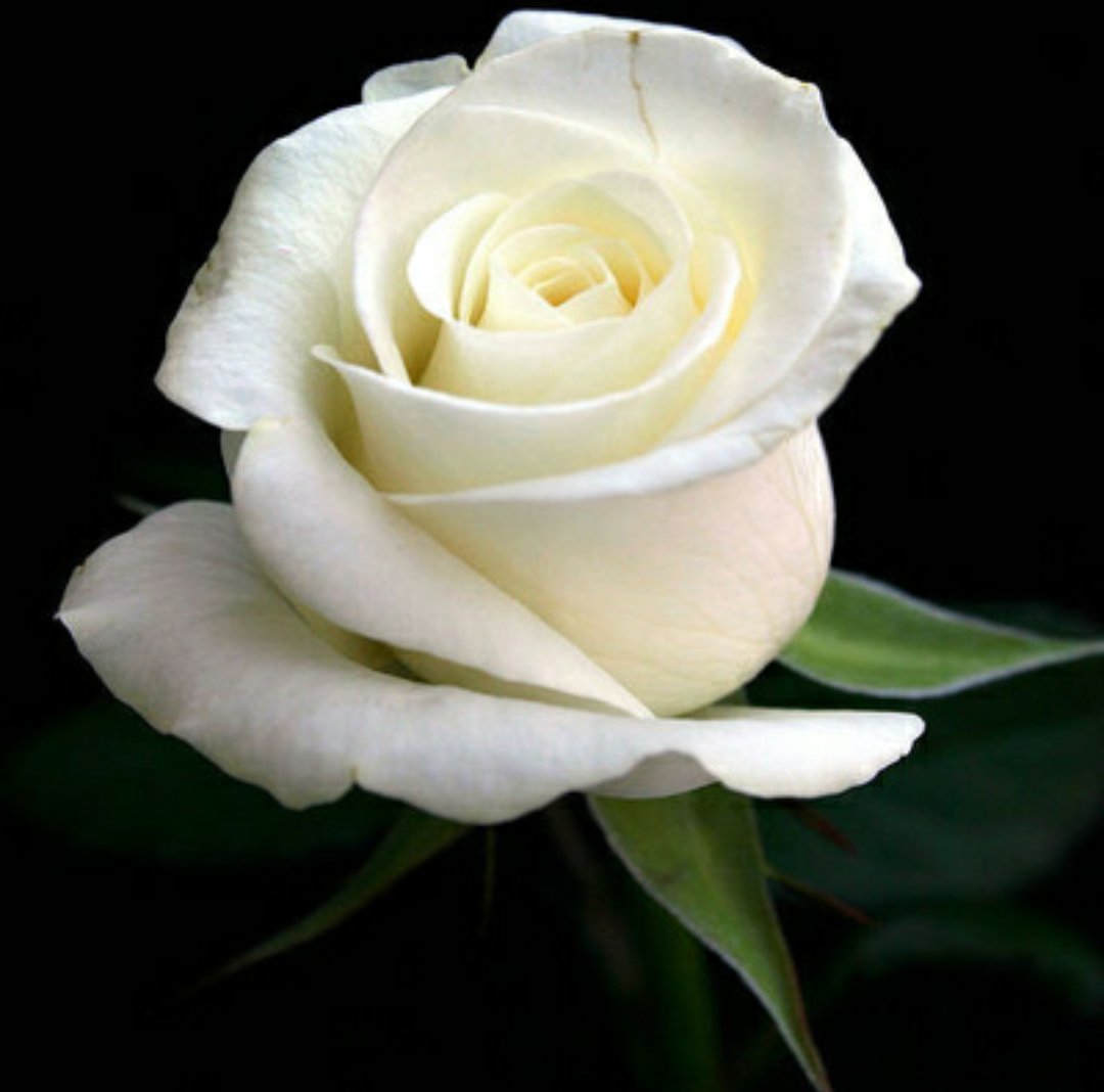 ���� ���� ������ �� ���� ������