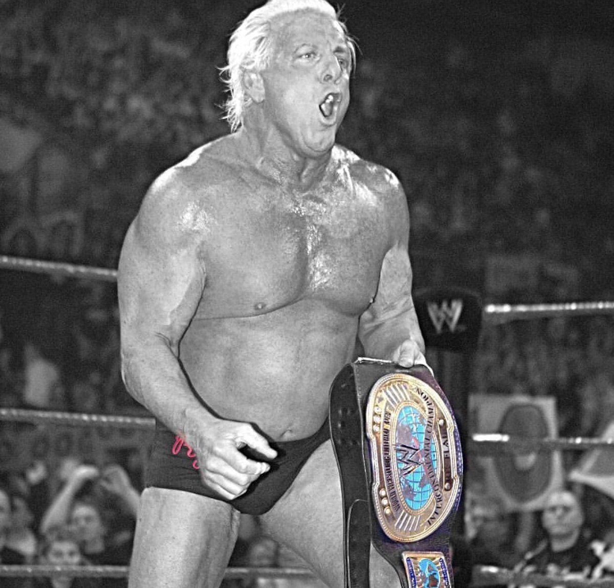 RicFlairNatrBoy's tweet photo. Let’s Conquer This Week Like A Champ! WOOOOO! https://t.co/1L9jx4xwsP
