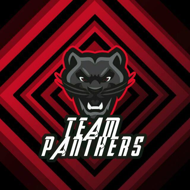 Copa eSports Fury tweet media