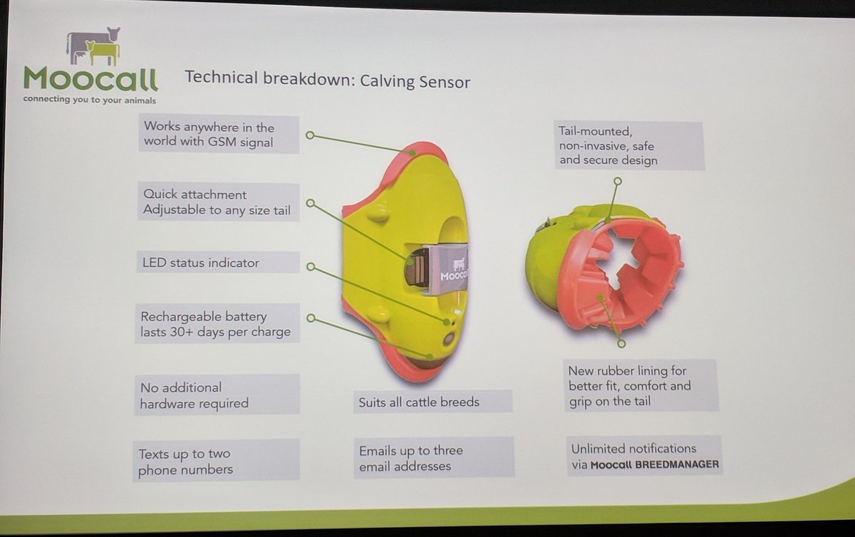 SproutX_'s tweet photo. Hearing from @MoocallUK in NZ at #MOBILEtech. Very cool wearables for cattle, a startup with great traction!
#agtech #nzag https://t.co/ty4jFUGiyI