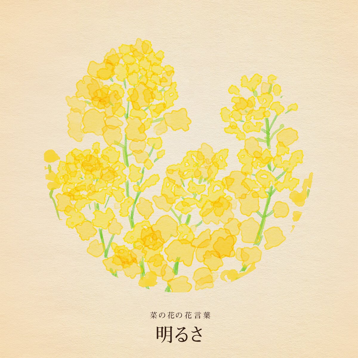 はな言葉 ウェディングドレス 3月27日の誕生花は菜の花 花言葉は 明るさ