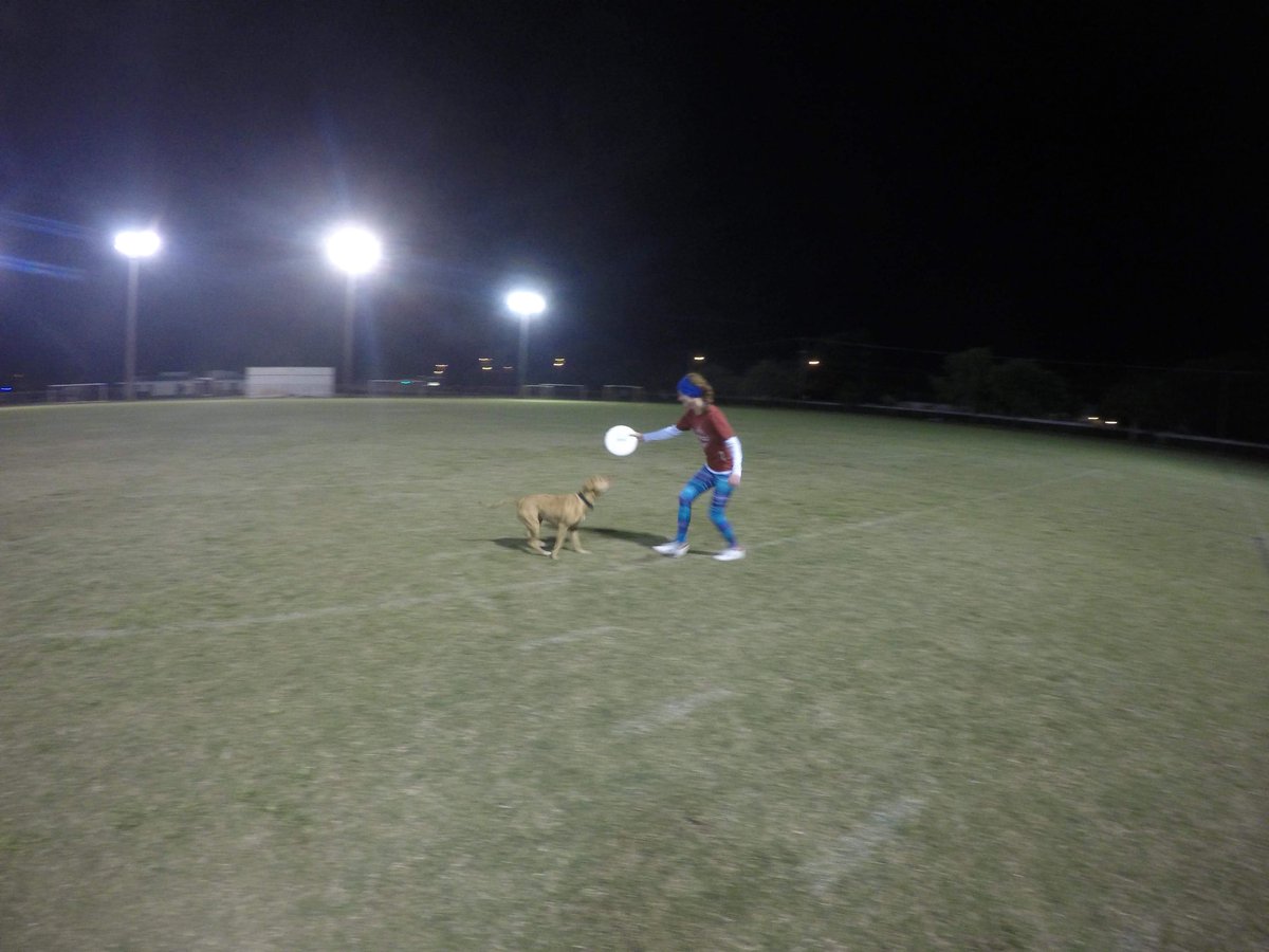FiascoUltimate's tweet photo. Dogs + Ultimate #ariaultimate #ultimatefrisbee @ariaultimate https://t.co/AkkG1s8PWn