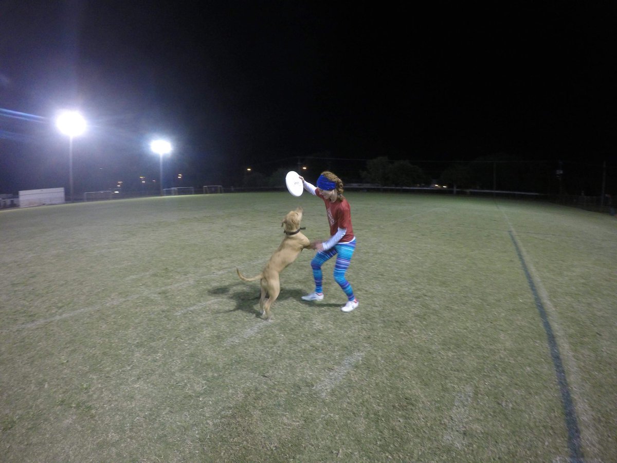 FiascoUltimate's tweet photo. Dogs + Ultimate #ariaultimate #ultimatefrisbee @ariaultimate https://t.co/AkkG1s8PWn