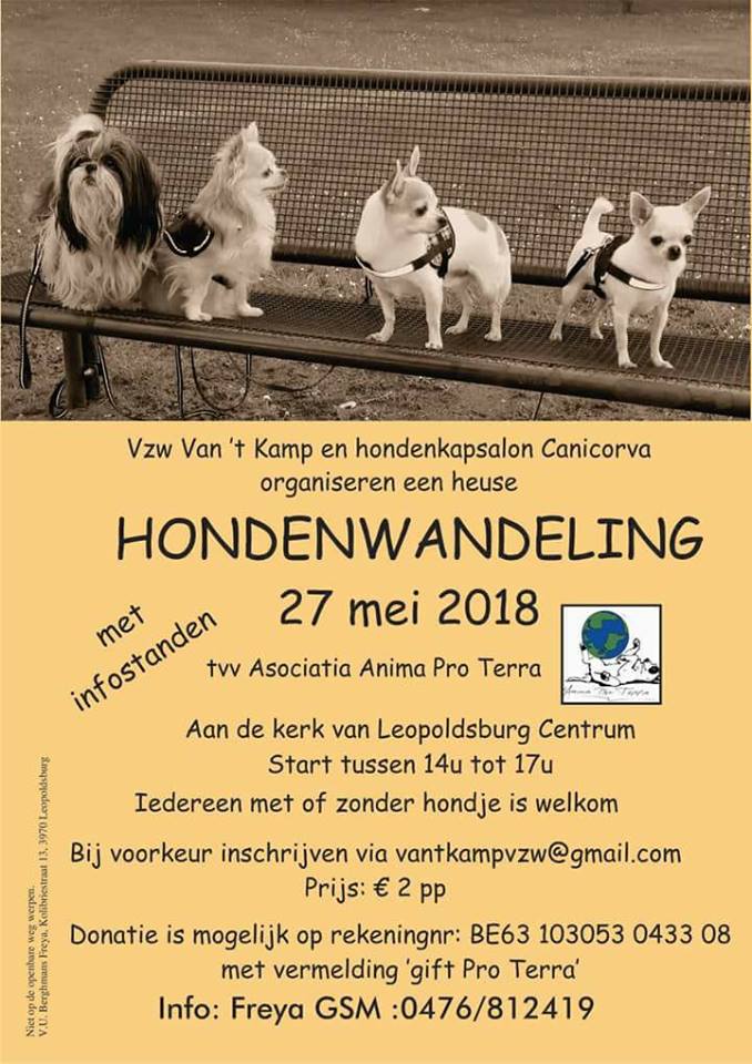 vantkamp's tweet image. 