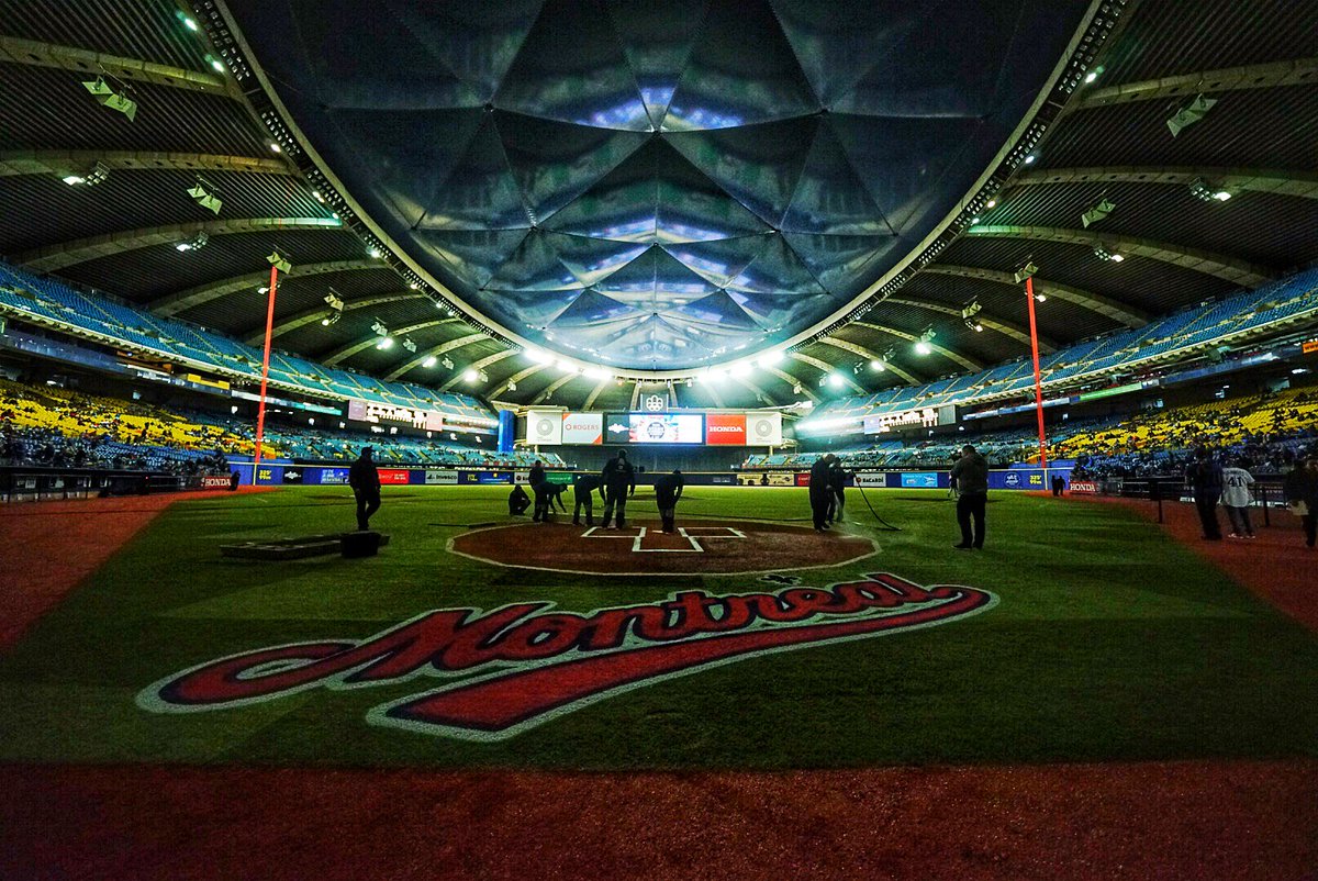 Cardinals's tweet image. We missed these #BaseballViews 😍