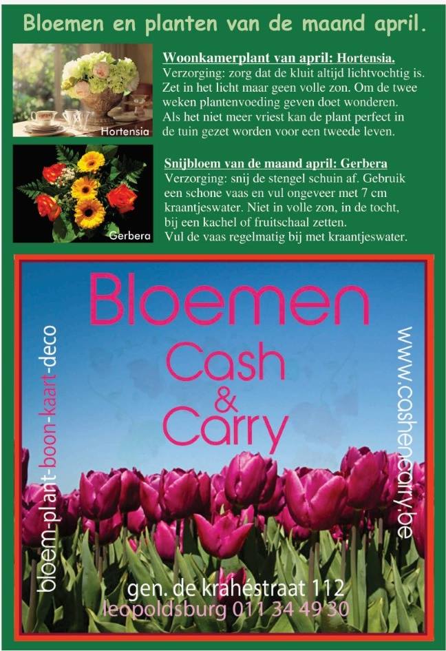 vantkamp's tweet image. 