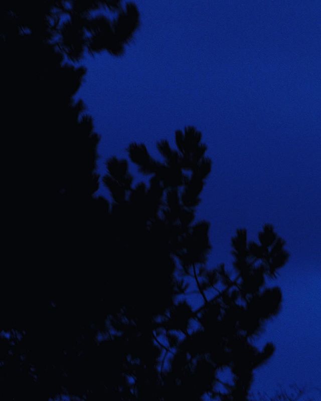 ChrisGeraldine2's tweet photo. Il commence à pleuvoir tout bleu 
un flottement de poussière bleue
une aura bleue autour de moi 
sous un parapluie bleu.

FRANKÉTIENNE https://t.co/jxMsESx6Cp