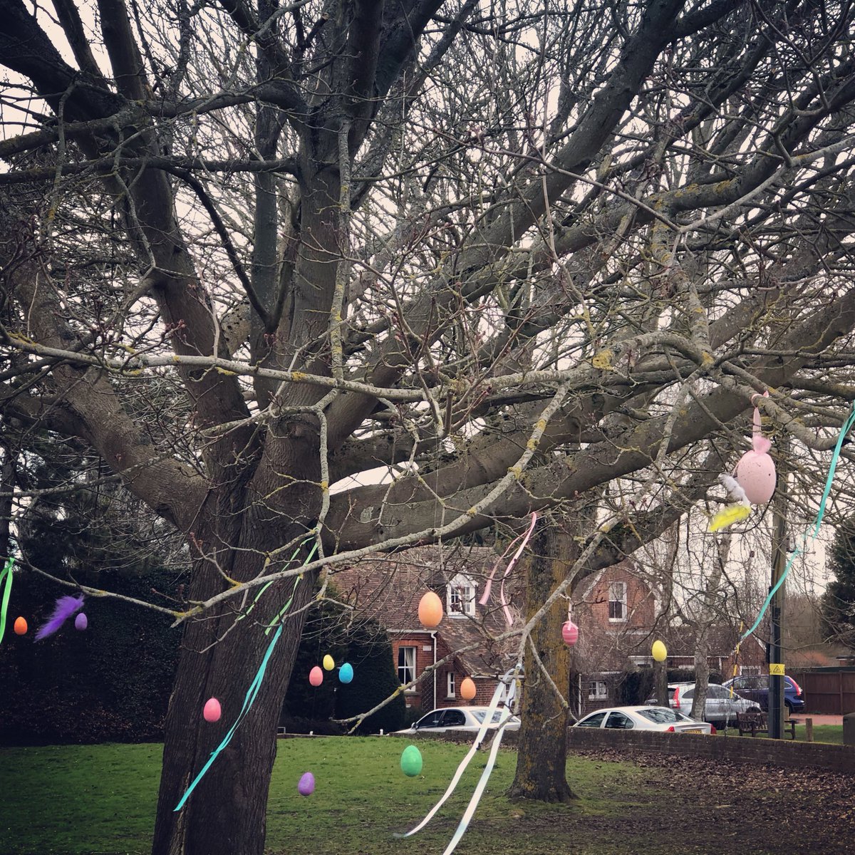 PaintersVac's tweet photo. Easter Tree on the green starting to take shape! #addyourown #communityspirit #newvillagehall #easter #egg #kent #village #tree #decoration https://t.co/SjElFHgwpw