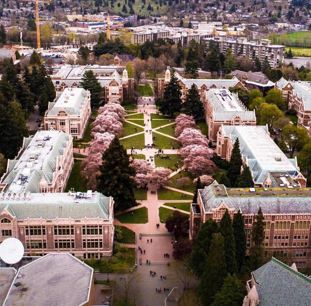 ABOVEseattle tweet media