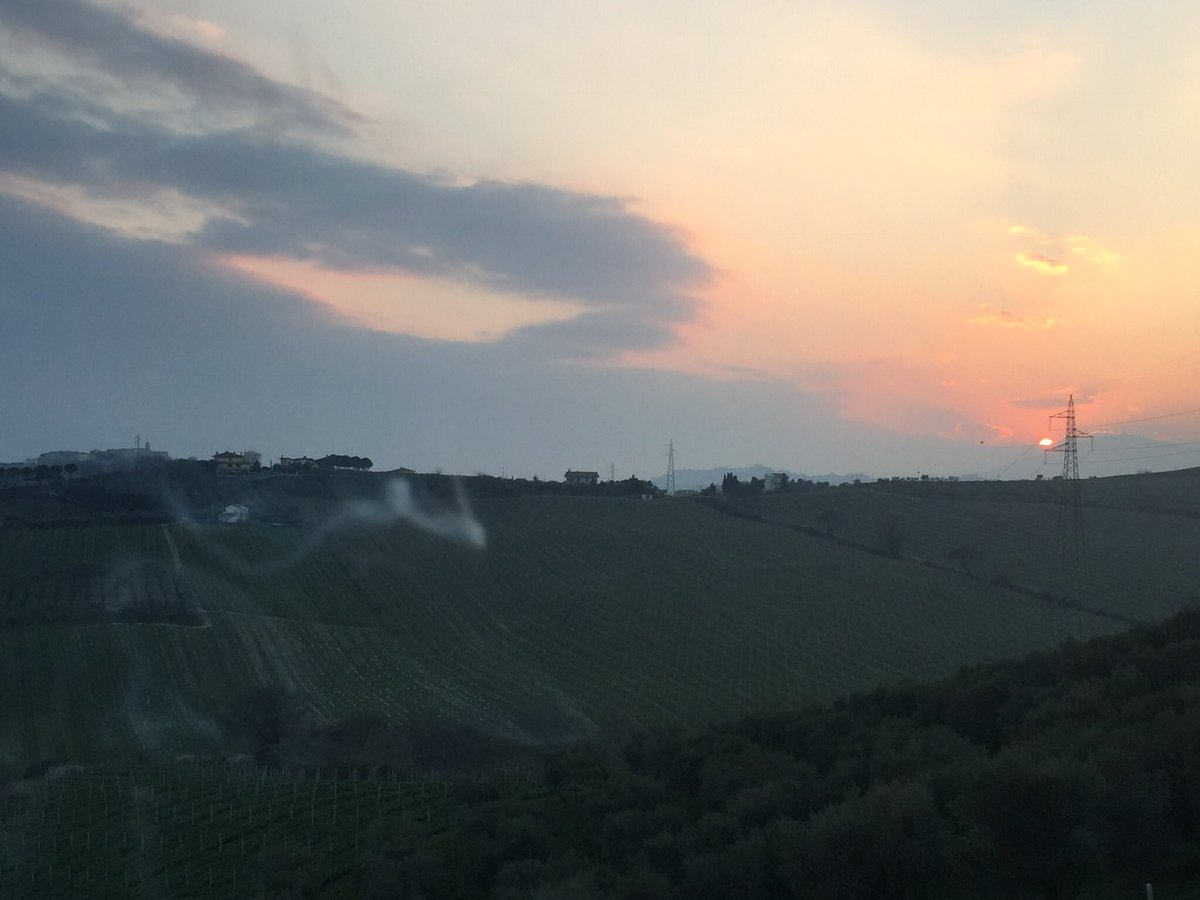ragno84's tweet photo. In Marche region to visit @Il__Conte__  @ManicomioCity @ManicomioSW3 #italianwines https://t.co/HHcjCLD2gV
