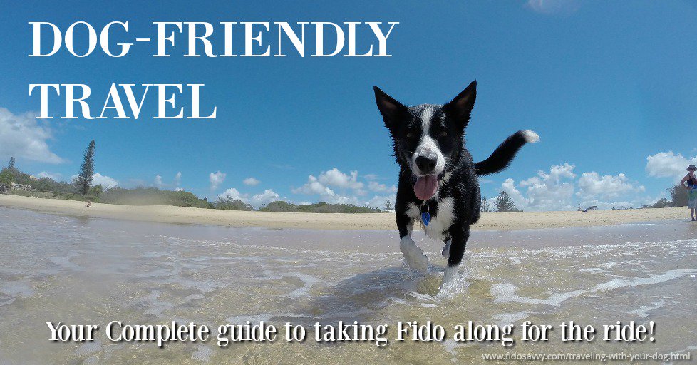fidosavvy's tweet photo. Life was meant for good friends and great adventures... and taking Fido on vacation :)  
#doglovers #vacationmode #petfriendly https://t.co/R1o6HoBpfI