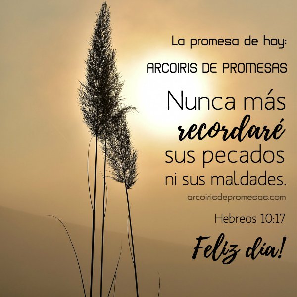 Arcoiris De Promesas Sur Twitter Arcoirisdepromesas Cuando El Senor Perdona Tambien Olvida Deja Atras Tus Pecados Pasados Con Cristo Consigues La Felicidad Del Perdon Y El Olvido De Tus Faltas