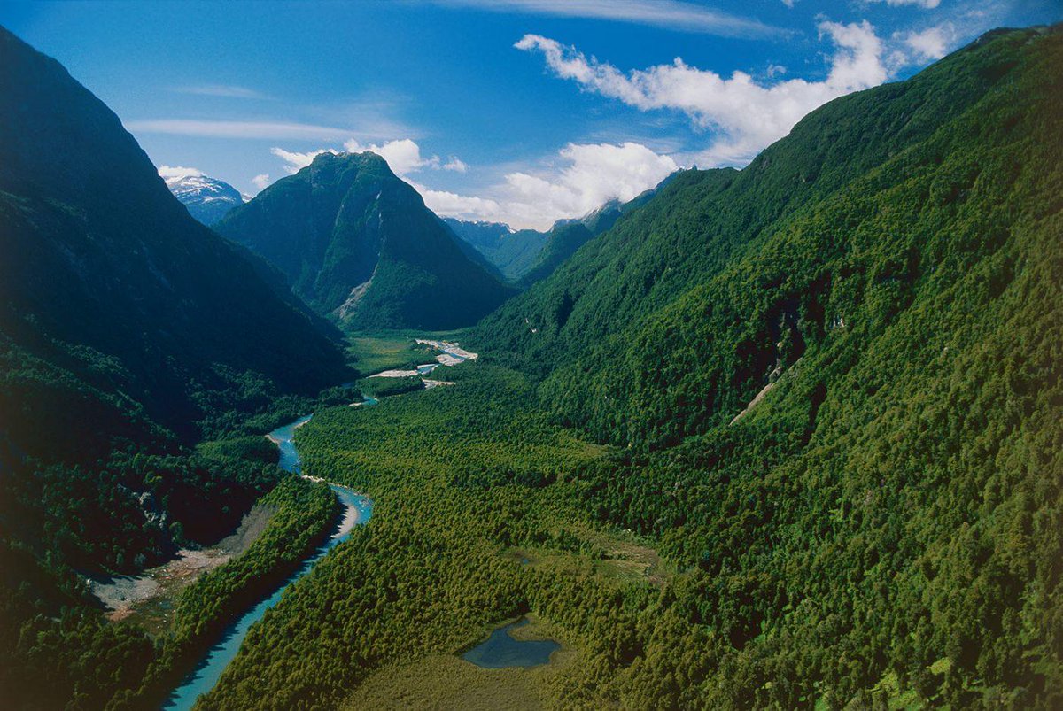 patagonia's tweet photo. “The one million acres given by Tompkins Conservation, combined with nine million acres of federal land donated by the government, will expand Chile’s national parklands by 10 million acres, a 38.5% increase.” https://t.co/Tn1eMarqAW https://t.co/xhJNnJ8vOS