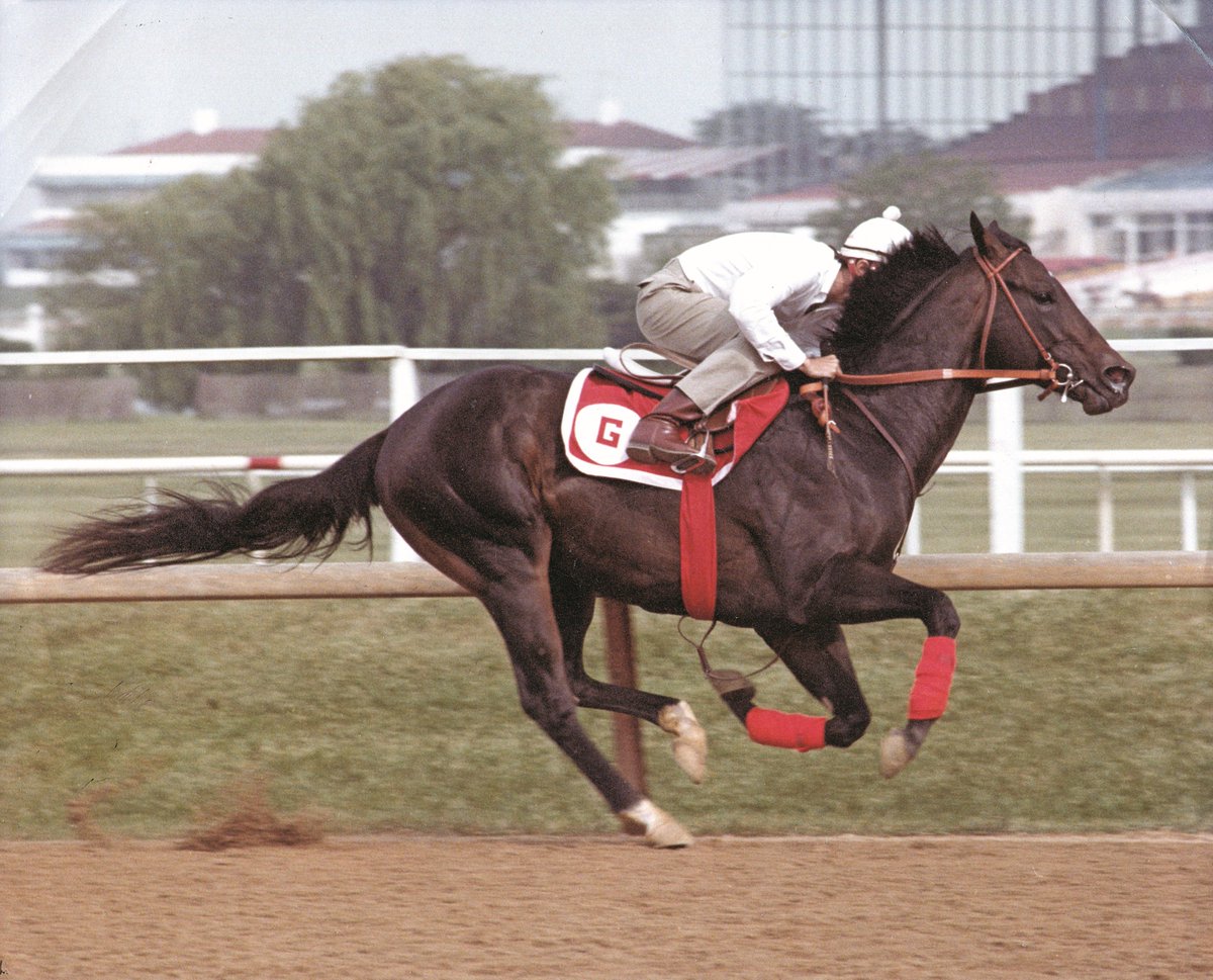 florida_horse's tweet photo. Happy Birthday to @BreedersCup Sprint (G1) winner Smile. Born on this day in 1982 for breeder Frances A. Genter. #FloridaBred #BC86 #BreedersCup https://t.co/hx35hBC9e6