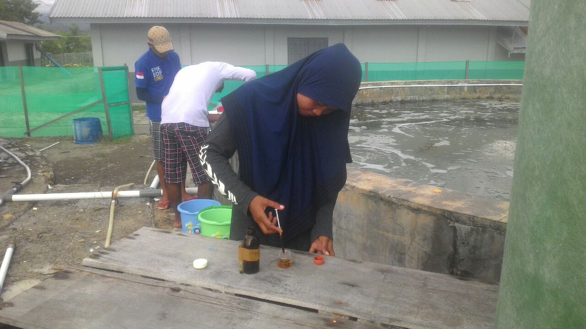 RidwanAlisi's tweet photo. Sampling plankton untuk mengetahui komposisi dan kepadatan pakan alami sebelum larva ikan beronang (F1) ditebar dalam bak 90 ton
Oleh mahasiswa PKL Unidayan Baubau &amp; Unismuh Luwuk di IPUW Barru
@BRPBAP3_Maros https://t.co/3IBybaCh3h