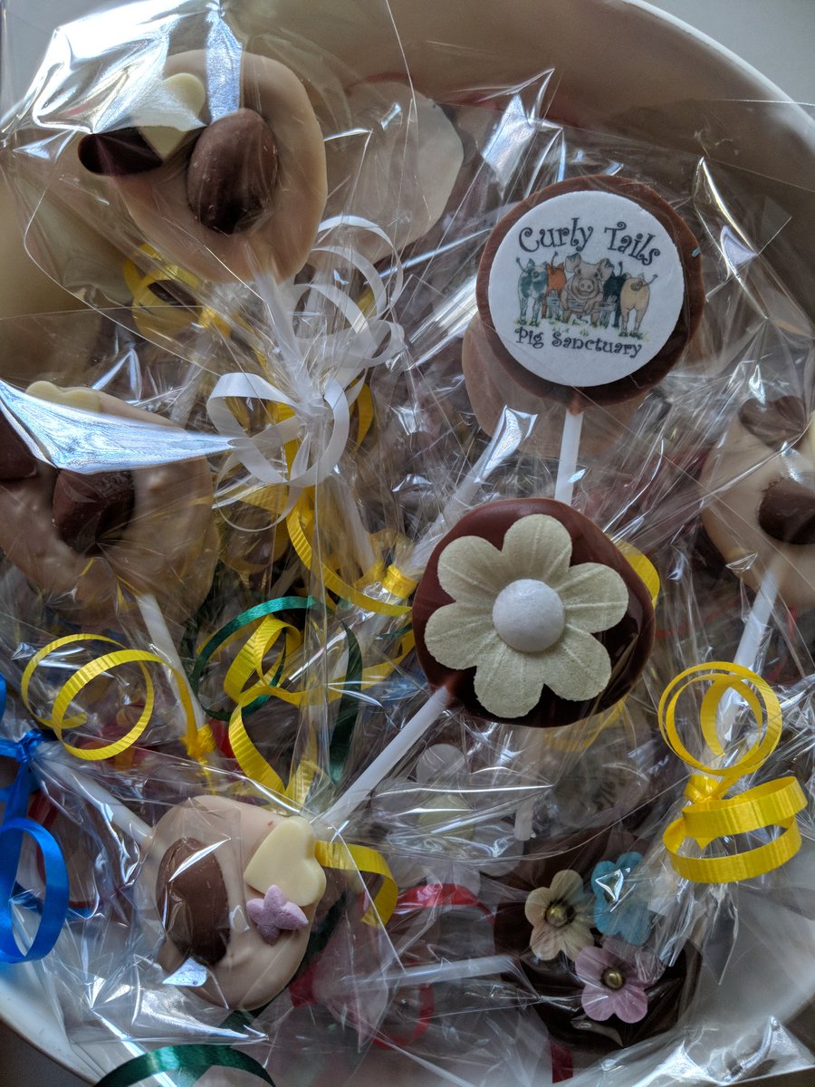 If you're visiting <a href="/curlytailspigs/">Curly Tails</a> this Easter do take extra pennies &amp; pounds for a little choccy treat! Every penny goes in the piggy bank for food, bedding, vet care etc. Everything these rescued pigs need comes from our support. #pigs #pigsanctuary #charity #fundraising 💗🐷💗