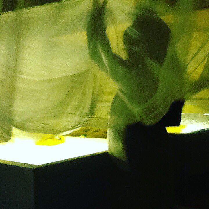 LornaRoseArt's tweet photo. Light. A science experiment. Children realise that they can control the shadows again and again. #enablement #inquiryledlearning #eyfs #creativelearing @hifieldji @heathfld https://t.co/8u6Ttf8OOi
