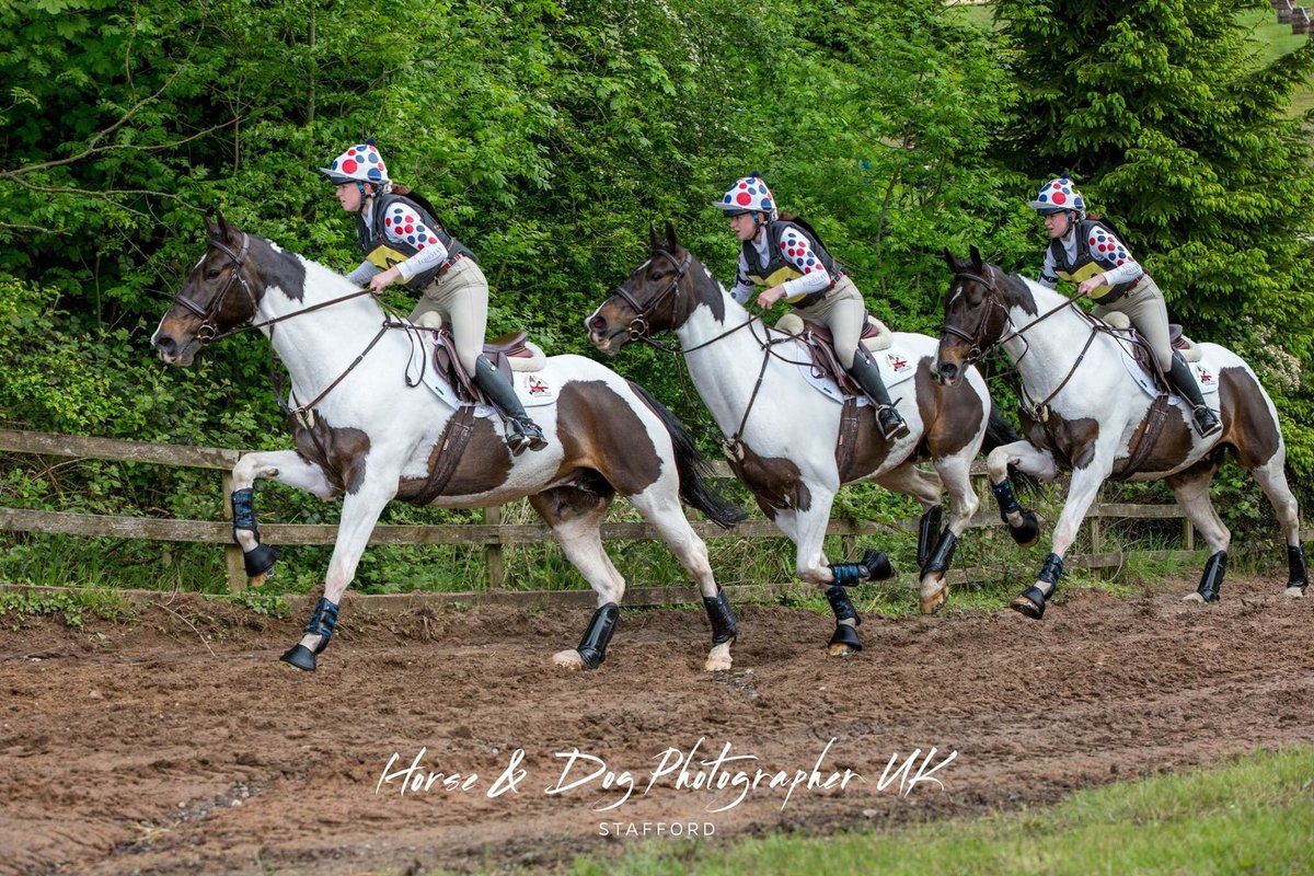 HDPUKStaffs's tweet photo. Occasionally it makes a change to do something different from portraits. #horsexc @ARJEquestrian #horse #horseriders #EquineHour https://t.co/DYMqukjZDN