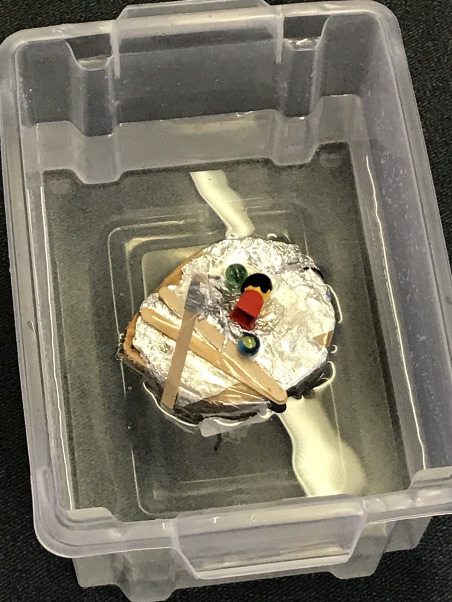 MrsDuncan88's tweet photo. Some more super early man boats made by p2 today #teamwork #topicfun #success @ForehillSchool https://t.co/5ngasuzYGw