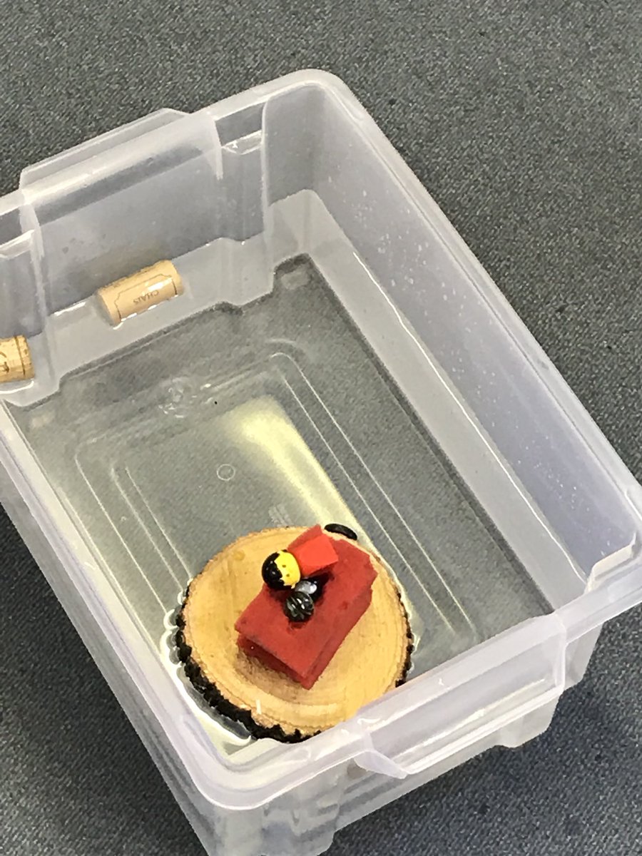 MrsDuncan88's tweet photo. Some more super early man boats made by p2 today #teamwork #topicfun #success @ForehillSchool https://t.co/5ngasuzYGw