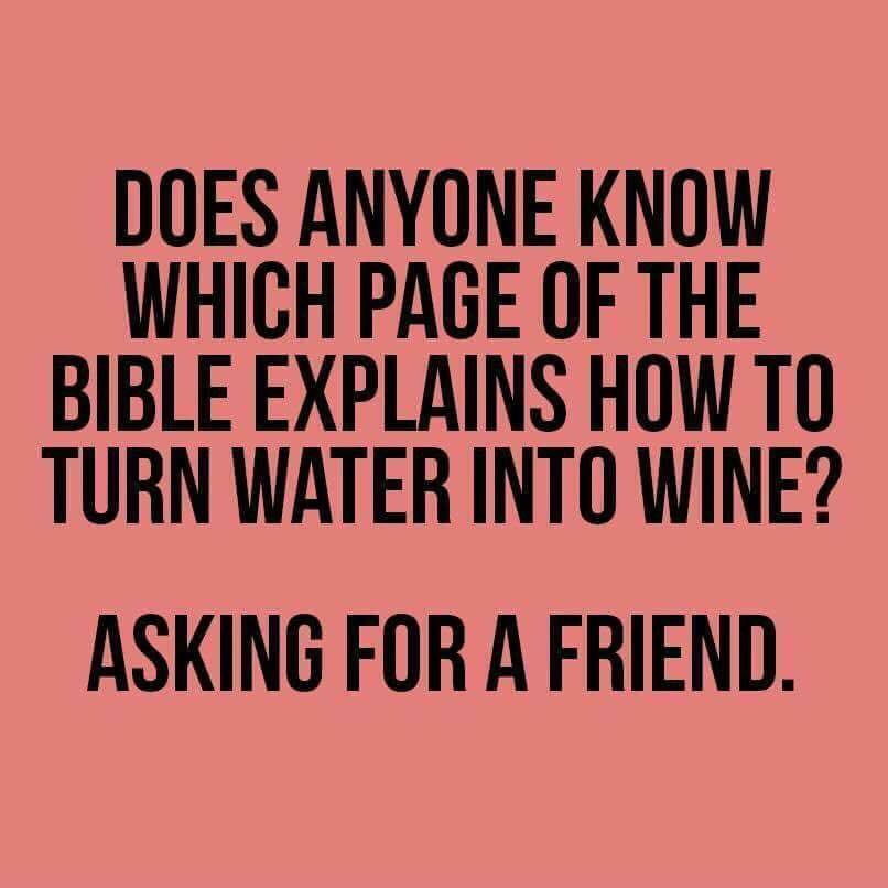 KSUdrunkregular's tweet photo. #caseoftheMonday https://t.co/PuHdc1JiUp