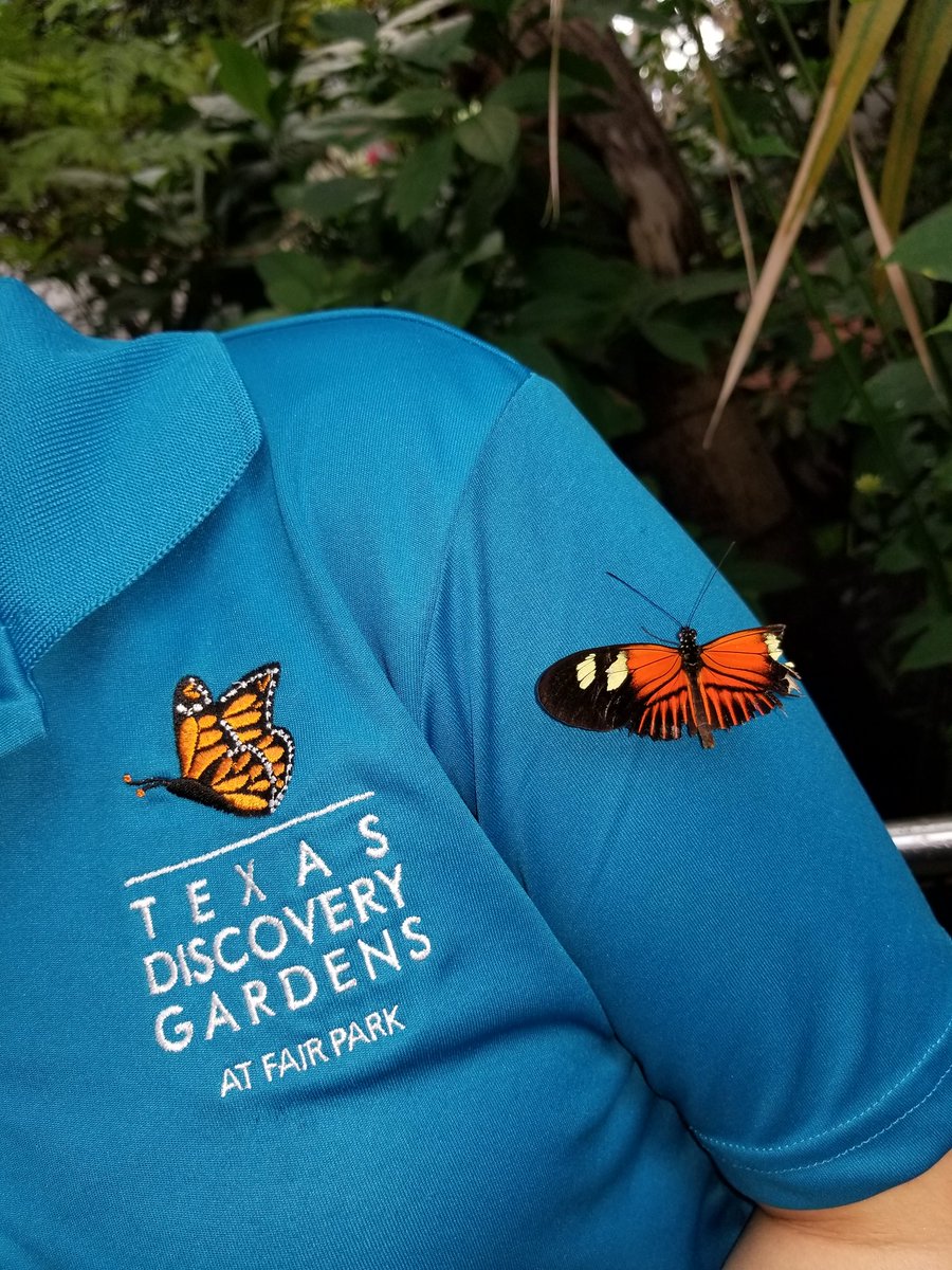 McCallSecond's tweet photo. 2nd graders had an awesome time exploring at the Texas Discovery Gardens ar Fair Park! #coltslearn https://t.co/i04a1pZatv