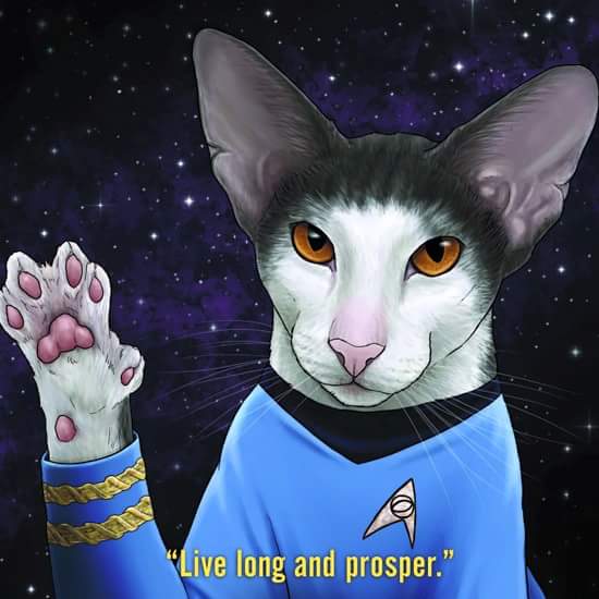 Happy Birthday Leonard Nimoy. 