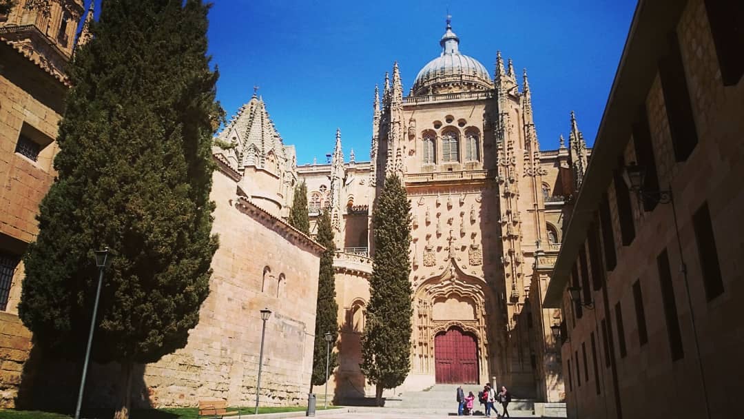 Verónica Fernández tweet media