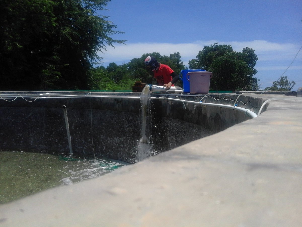 RidwanAlisi's tweet photo. Pengisian bak 90 ton untuk pemeliharaan larva ikan beronang di IPUW Barru oleh mahasiswa PKL UNIDAYAN BAUBAU
@BRPBAP3_Maros https://t.co/bJpGgX0n02