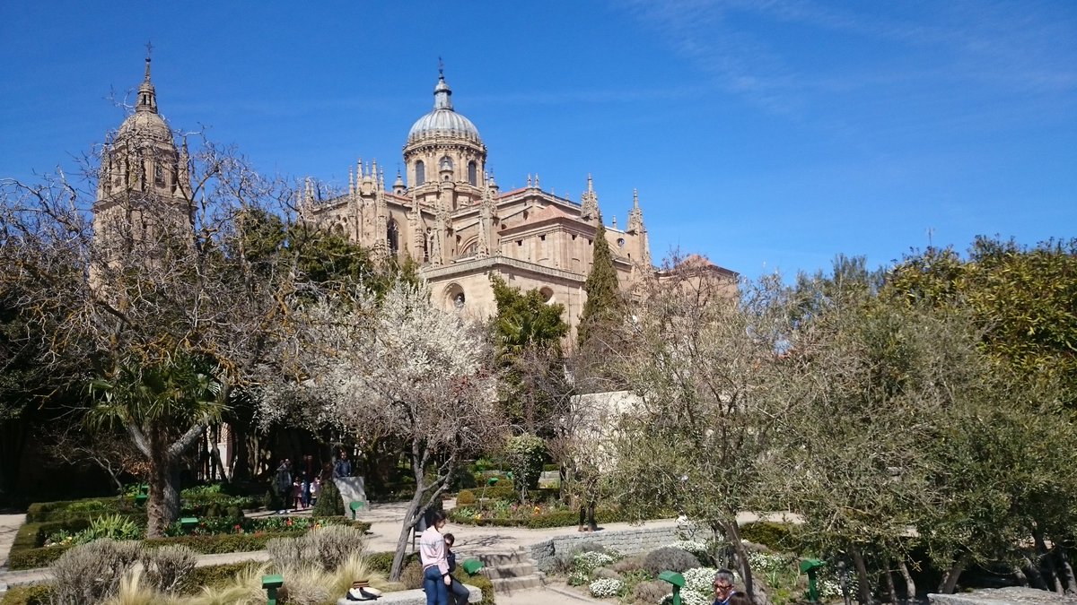 Verónica Fernández tweet media