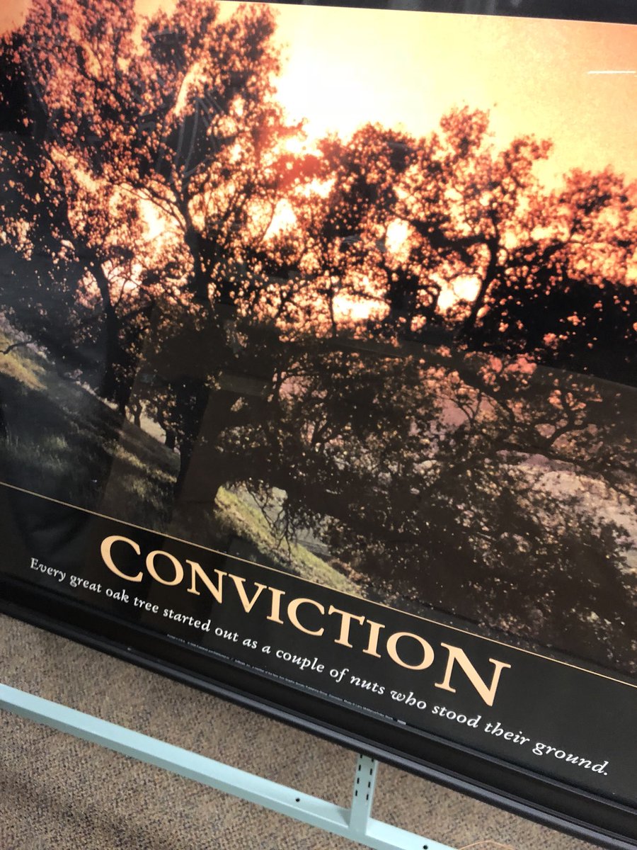katiecald's tweet photo. @chrisdelia you ever think about that though? You ever think about how it took a couple of nuts toooo build oak trees? “Haha😂...🤳🏼... 😮WHOA” https://t.co/RBTeJRpy2d