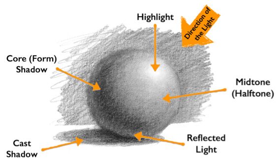 KraaftShaak's tweet image. Artist Tip of the Day!
Shading tips for figure drawing | ArtistsNetwork.com
#ArtistTips #Shading #HowToShade