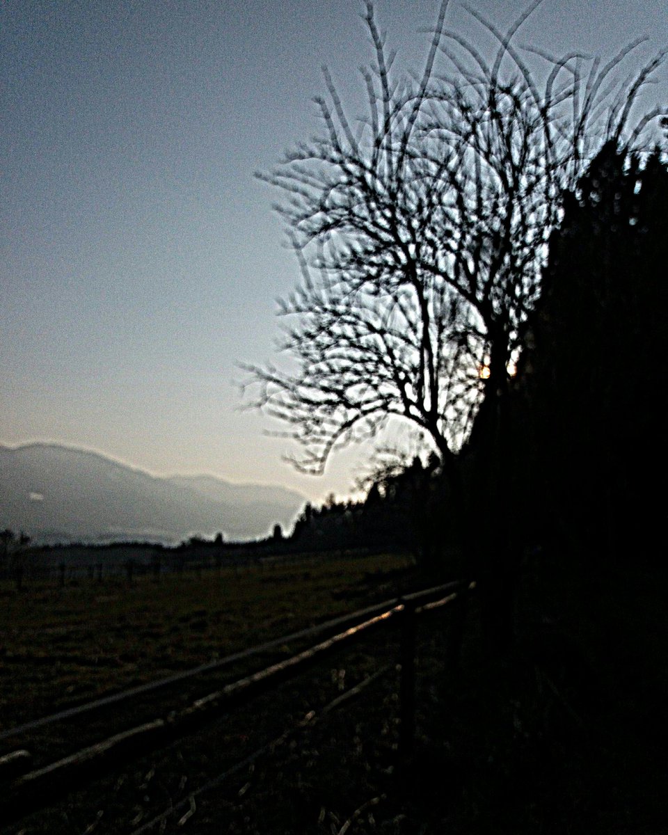 schmidwillibald's tweet photo. WEATHER &amp; MOUNTAINS: Spring evening

Images c: STUDIO LIGHTBOX https://t.co/qiRWJyB9WS
