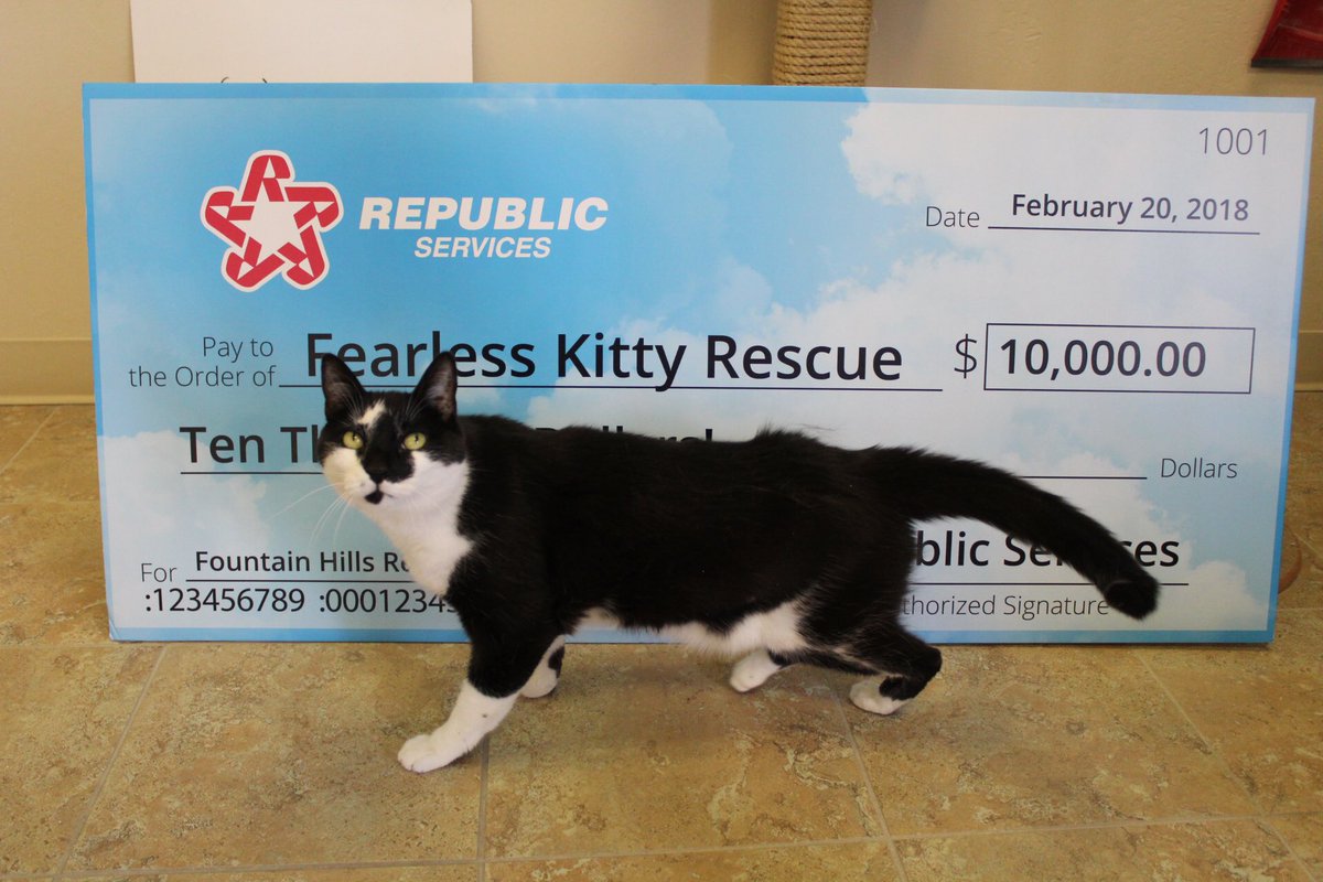 FearlessKitty12's tweet photo. Piston wants to thank @RepublicService for this amazing grant. It’s going to save and help so many kitties! 😻
#republicservice #grant #savinglives #BeFearless https://t.co/7x5QwsRILy