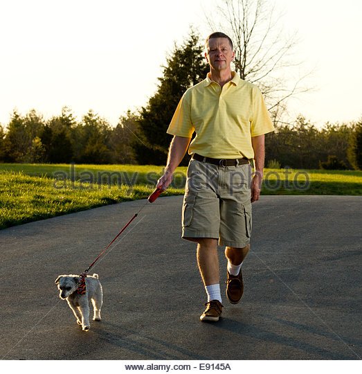 #spacer #pies 
Mam pas już prawie 2 lata...
Dziś byłem z nim 2 raz na spacerze :)