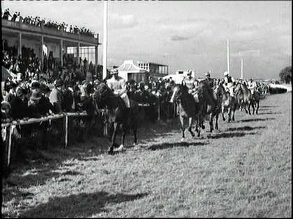 AnaglogsDaughtr's tweet photo. Newbrook Racecourse, Mullingar, Westmeath, Ireland.
Where Arkle made his debut in a bumper https://t.co/PxYPaHggFb