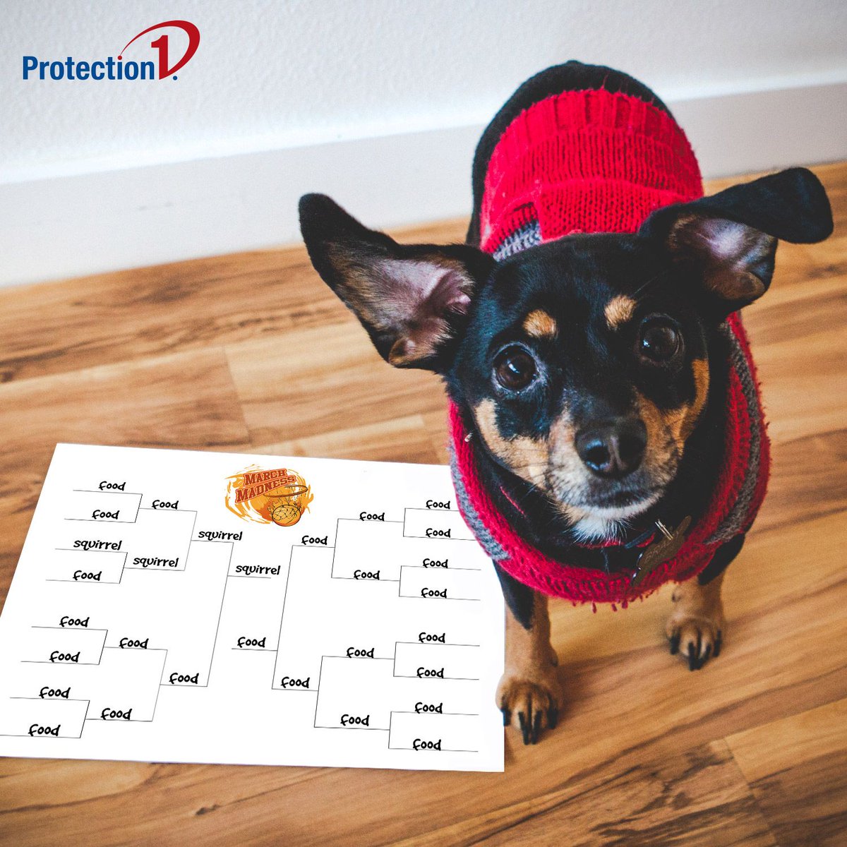 ProtectionOne's tweet image. How&apos;s your bracket doing? Protection 1 plays defense for your home no matter who wins... (even if you can&apos;t name the players, like Brady!)