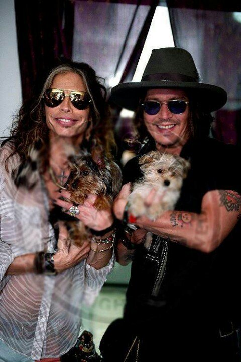 Happy Birthday to the legend himself Mr. Steven Tyler!   