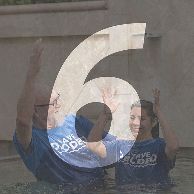 The Grove tweet media