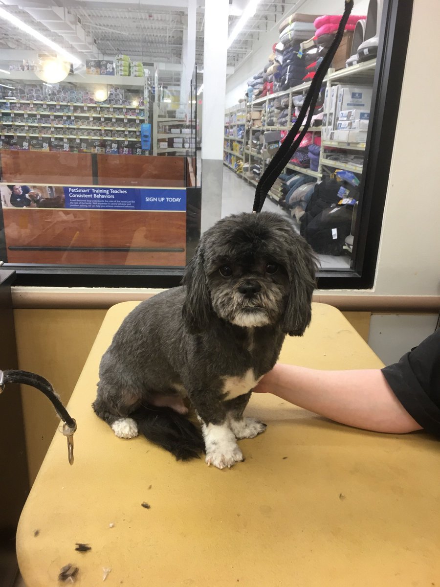 Linda Trinkner #1240 #NYC Extreme Makeover #northeastgrooming
