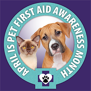 nanaspetsitting's tweet photo. Did you hear- April is Pet First Aid Awareness Month? https://t.co/cJAT2HaLLE https://t.co/EmZUYWPR2c