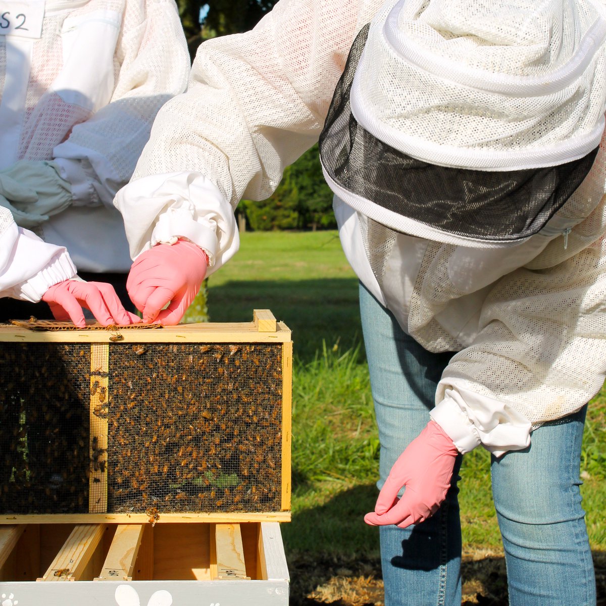 utdrecycling's tweet photo. This could BEE you! Enter our social media contest for a chance to participate in a UT Dallas Apiary Hive Install this Earth Week! Check the UT Dallas Facilities Management Facebook or Instagram for rules and requirements...
The deadline is March 30 at NOON- hive at it! https://t.co/ljJBbvsluo