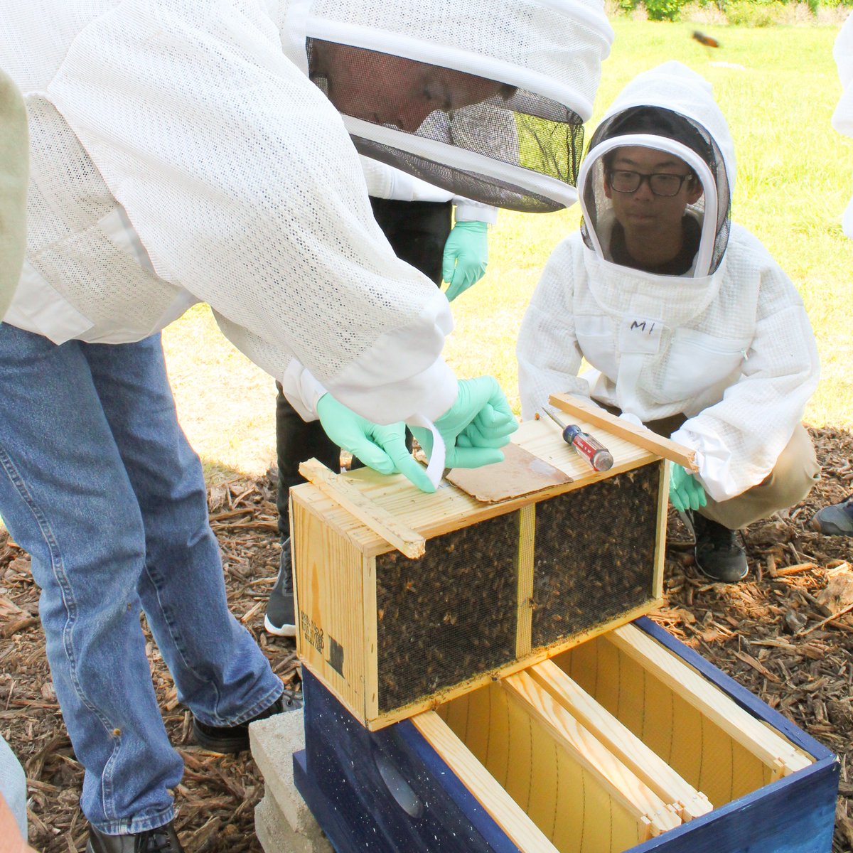 utdrecycling's tweet photo. This could BEE you! Enter our social media contest for a chance to participate in a UT Dallas Apiary Hive Install this Earth Week! Check the UT Dallas Facilities Management Facebook or Instagram for rules and requirements...
The deadline is March 30 at NOON- hive at it! https://t.co/ljJBbvsluo