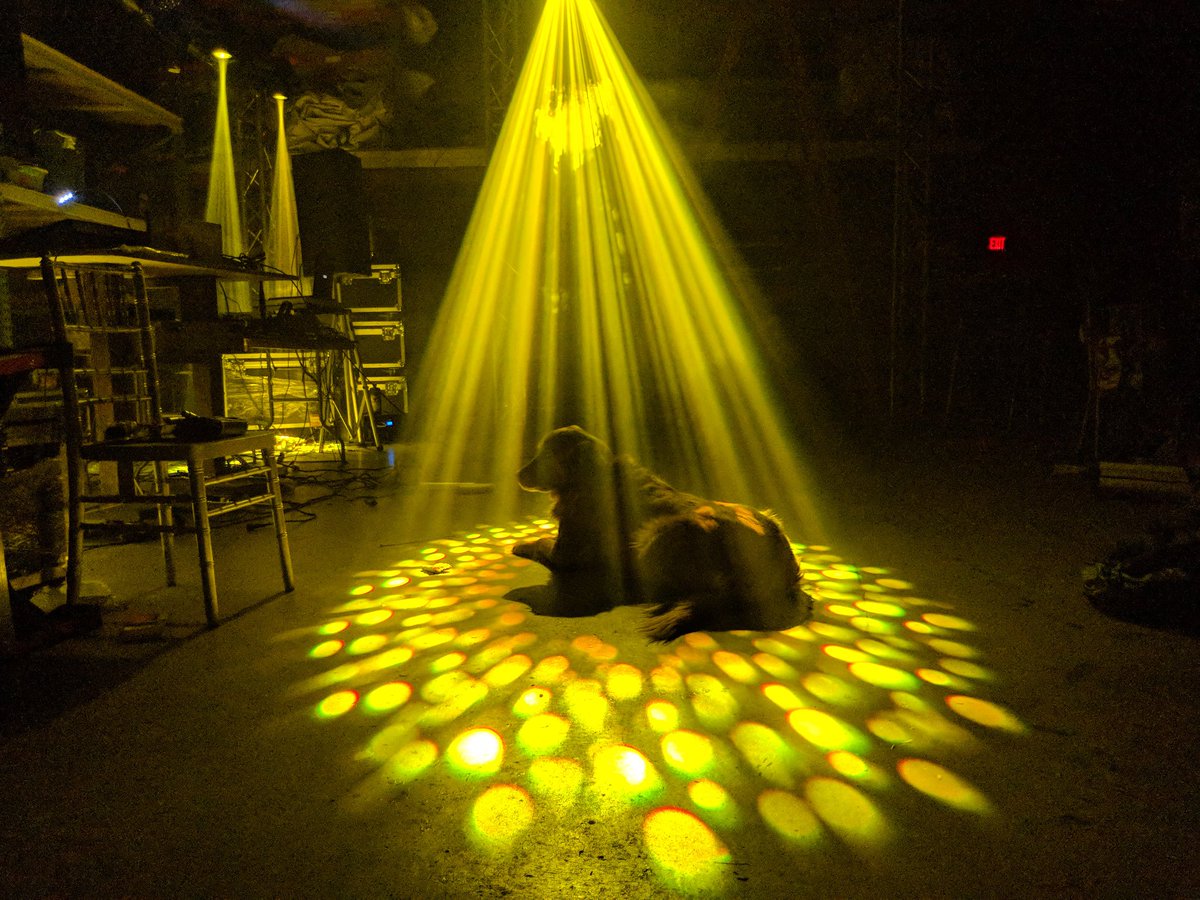 Twenty20_Ent's tweet photo. Porter loves our DJ training lights!! #twentytwenty #DJservices #lighting #DJintraining #warehousetraining #doglovers #DJpup https://t.co/Edh7sPh4aI