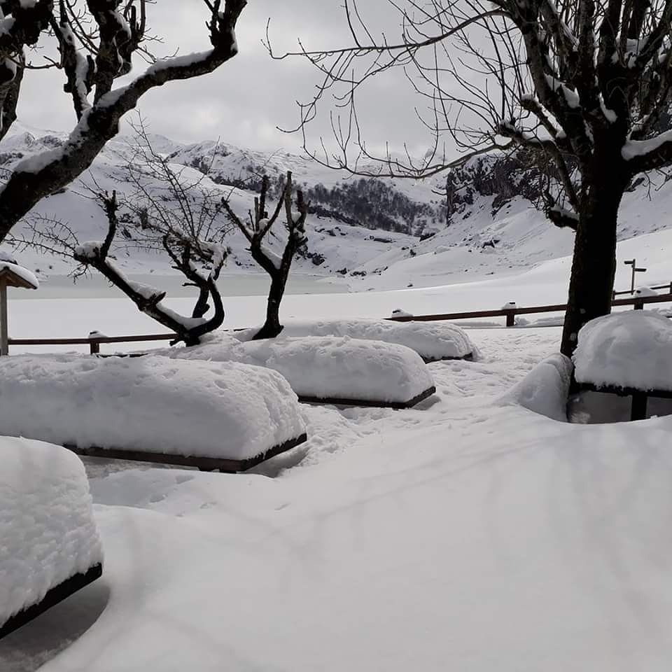 VivePicos's tweet photo. Lagos de #Covadonga #Asturias #SemanaSanta #travel #Viajar #RutadelCares
Foto:Hector Blanco Fanjul https://t.co/gIhlcOTjaT