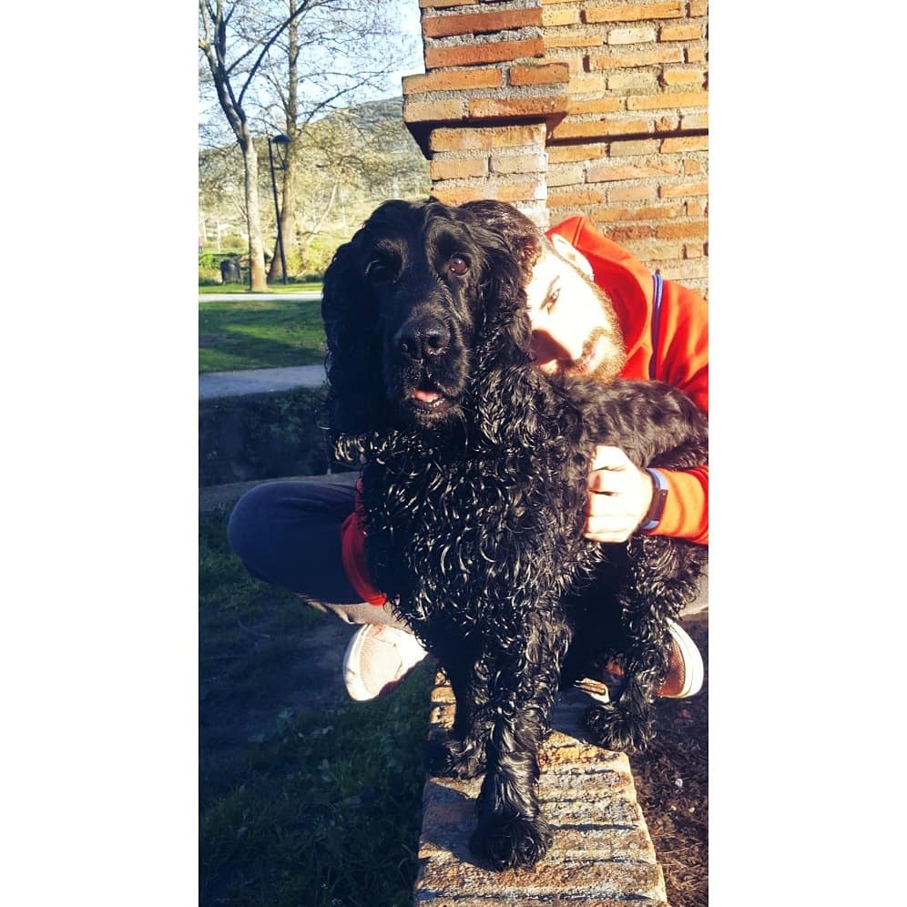 Dinokaisaurus's tweet photo. Buena tarde con lo mejor de mi vida.
DINO. https://t.co/HHfXIsI0L0