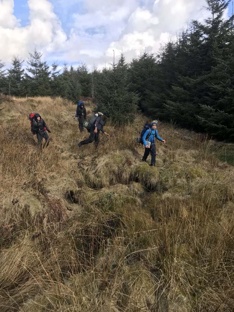 WellyDofE's tweet photo. Look what we found in the woods. https://t.co/glMeseWUj6